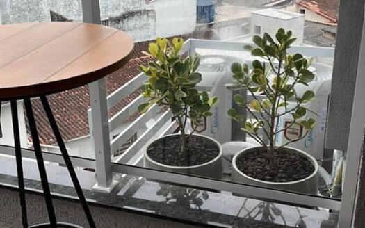 Apartamento edificio Marias – Perequê Açu Ubatuba