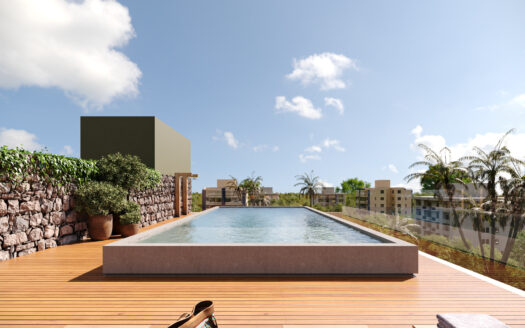 PRÉ LANÇAMENTO – ARYEH – TENORIO