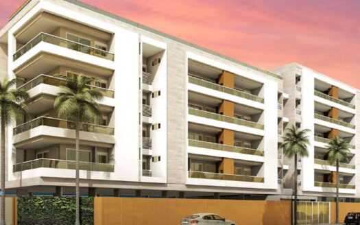 Lançamento Ambar- Toninhas